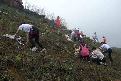 今年逾700人報(bào)名參加，為一幅去年被山火燒去大范圍林木的山坡種植約6,000棵樹(shù)苗。